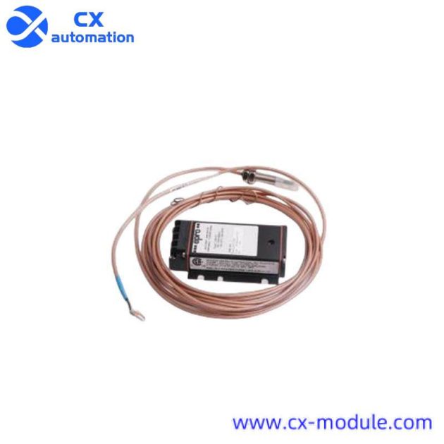 EPRO 6423 Series Eddy Current Sensor, CN Model, CN Module